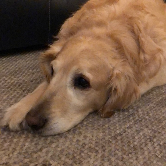 Meet your Posher, Michelle - Picture 1 of 1